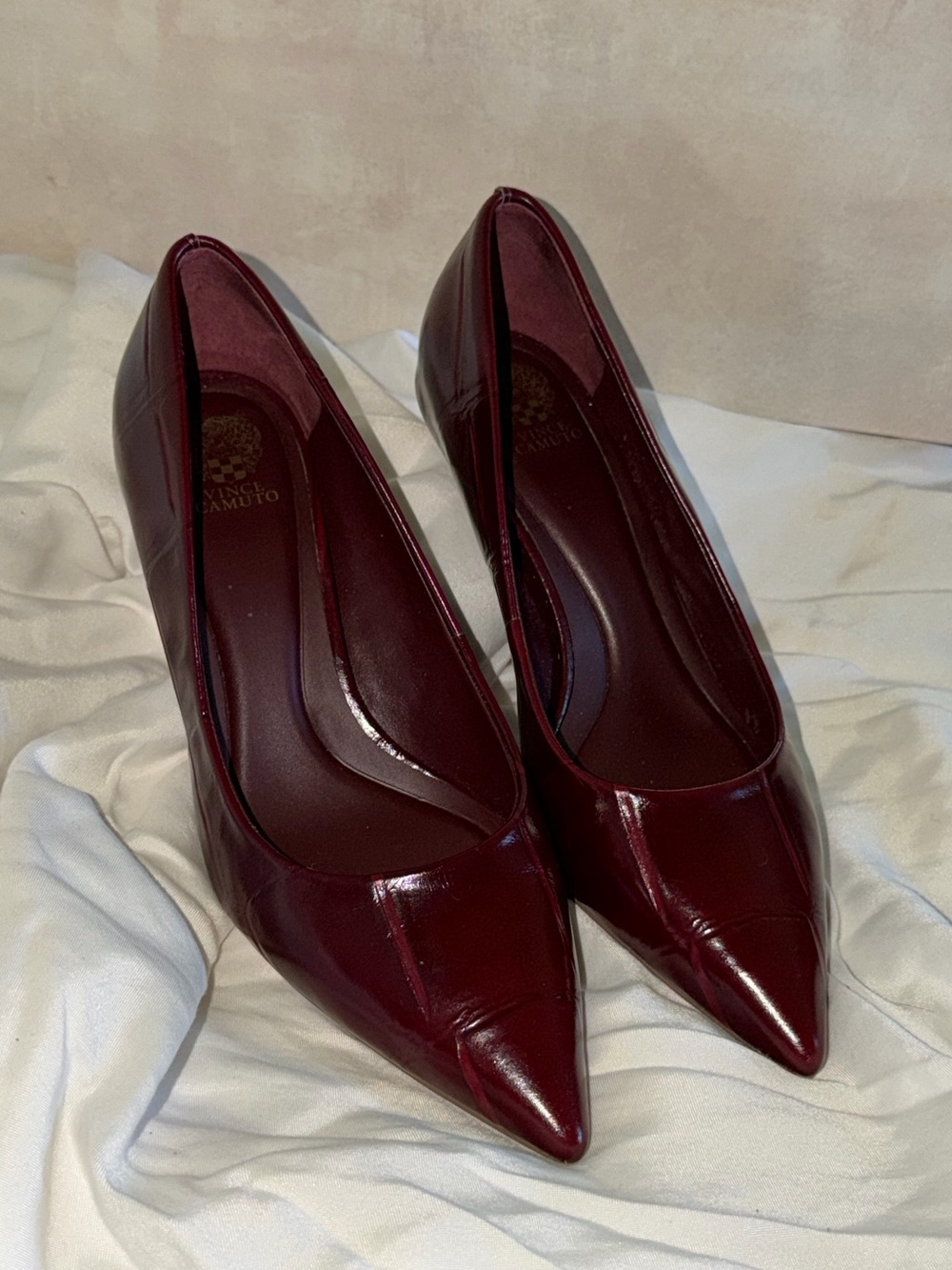 Pointed Toe Burgundy Women’s Pumps